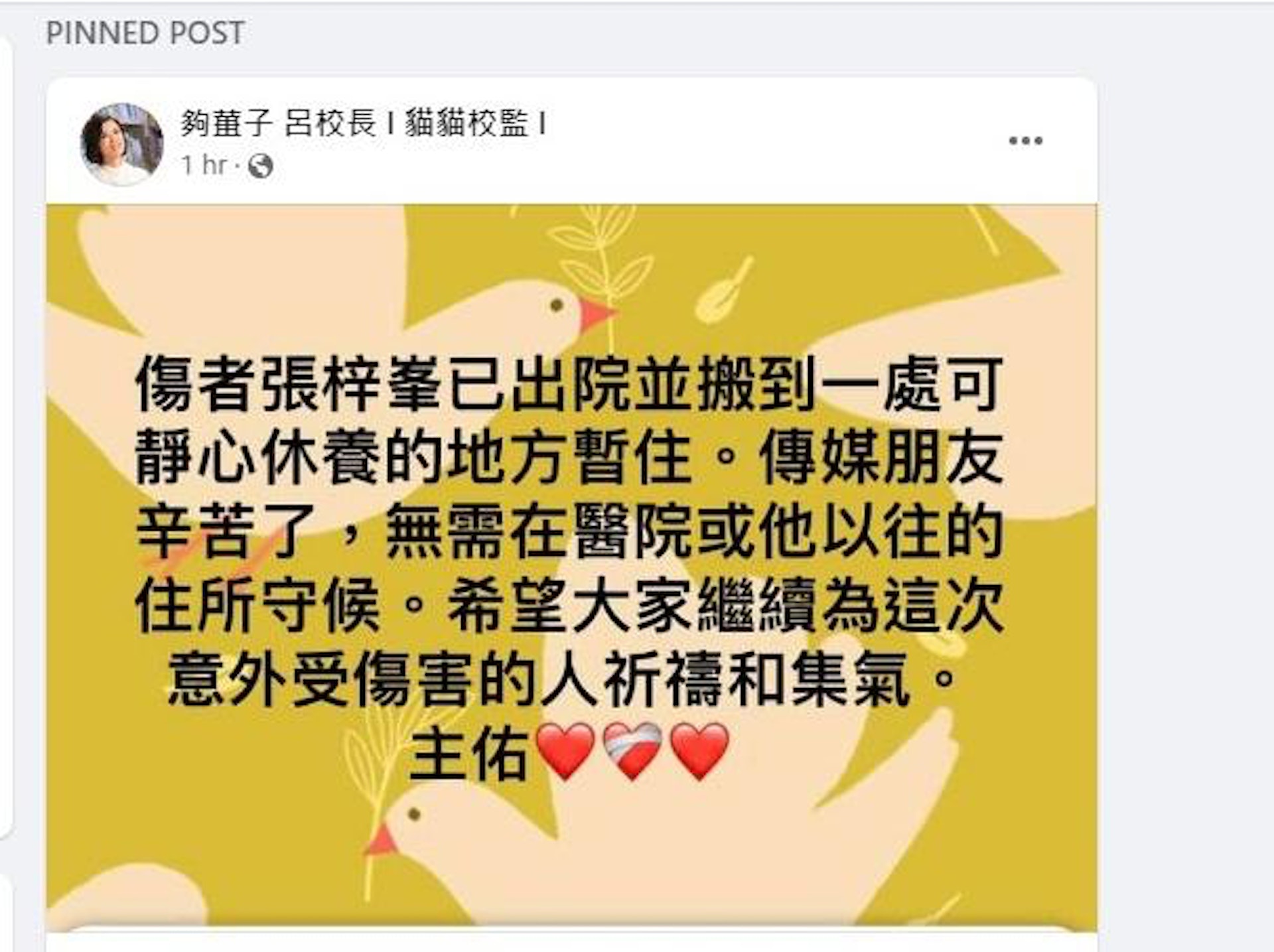 MIRROR演唱会意外|重伤阿Mo已清醒 父曝能简单沟通