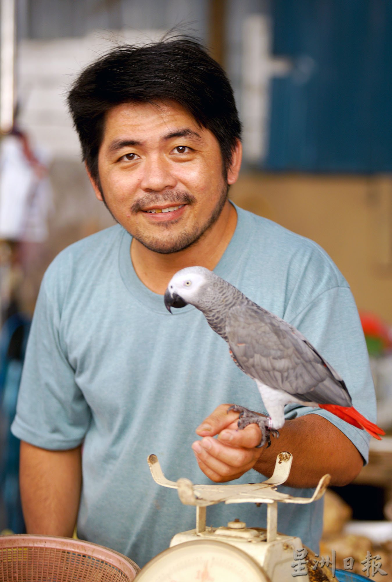 pk★8月6日刊登【我家萌宠】/大霹雳封底主文//非洲灰鹦鹉“宝贝”有个性