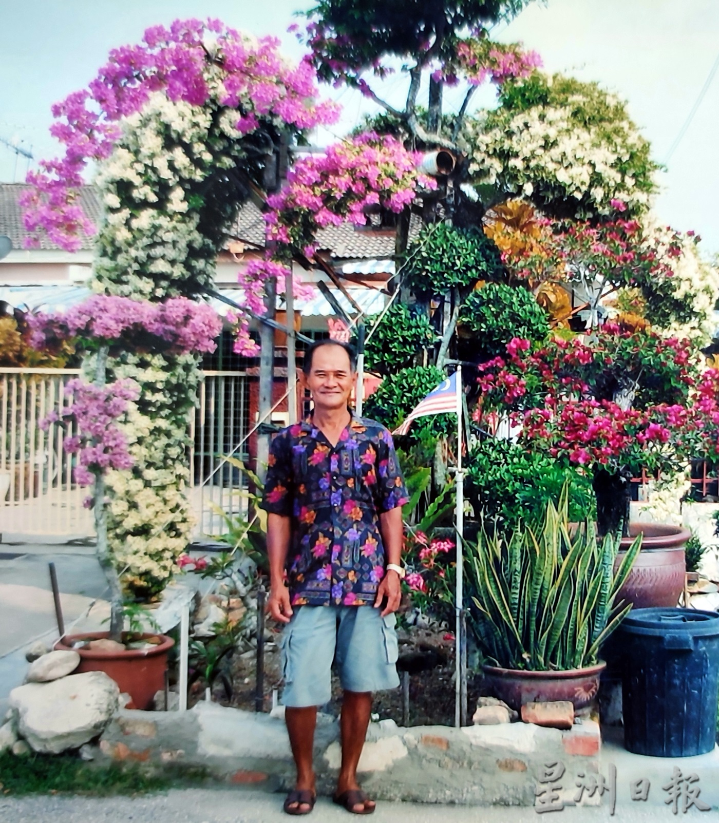 pk【我家萌宠】★8月13日刊登/大霹雳封底主文//王东发 盆栽换鸟悠然逍遥