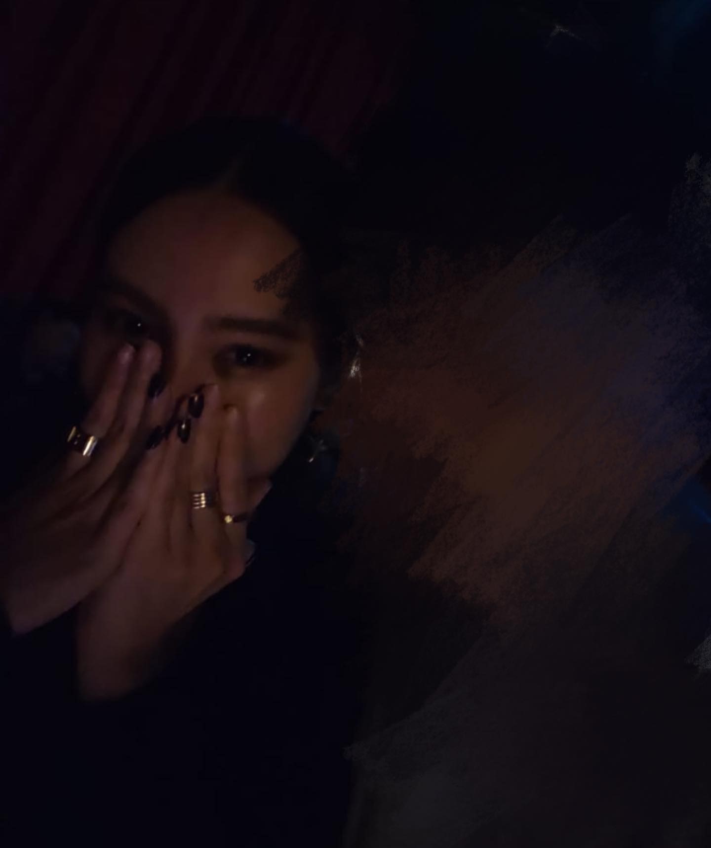 “摸的时候很暗 证据不足难报警”蔡咏彬:法律只会保护林尚进