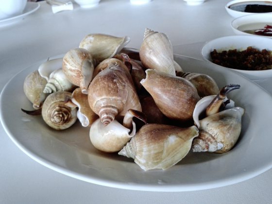 【印尼】漫游彼岸 民丹岛