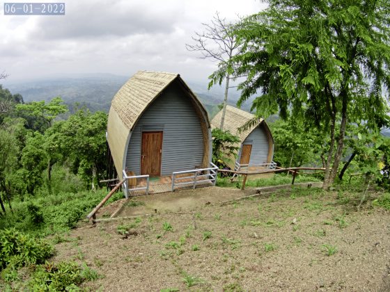 【孟加拉】萨洁,天堂之谷