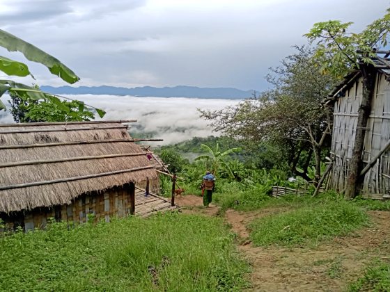 【孟加拉】萨洁,天堂之谷