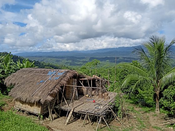 【孟加拉】萨洁,天堂之谷