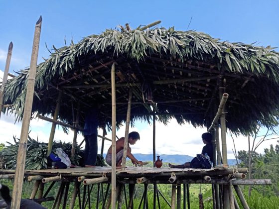 【孟加拉】萨洁,天堂之谷