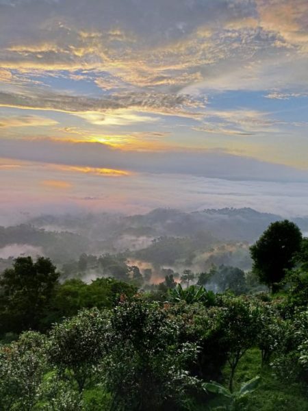 【孟加拉】萨洁,天堂之谷