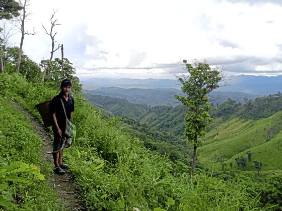 【孟加拉】萨洁,天堂之谷