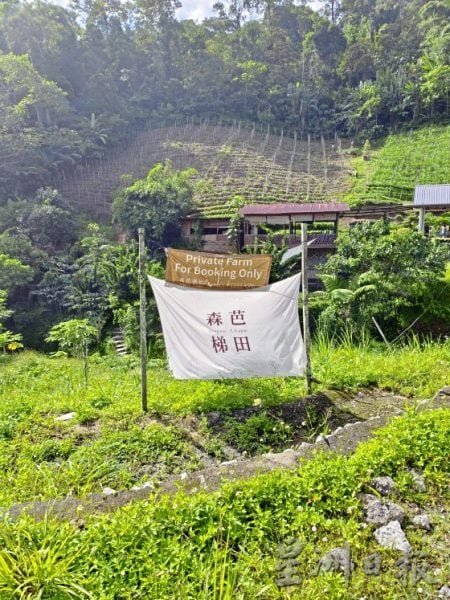 【马来西亚‧彭亨】到文冬，挖掘独特的人文瑰宝