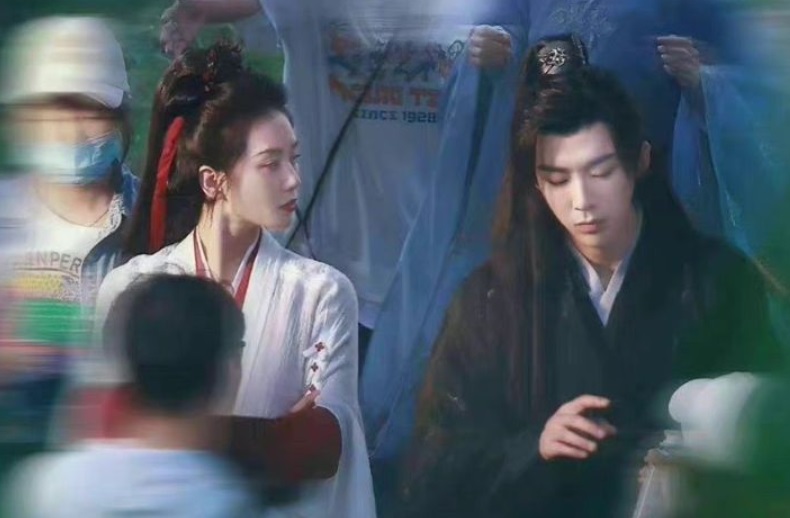 不满新剧降级帮刘宇宁抬轿 刘诗诗粉丝团拒绝营业