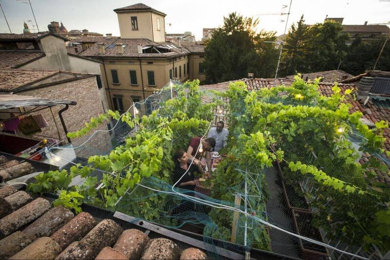 买了不准喝！充满艺术的葡萄酒 一瓶2.26万令吉