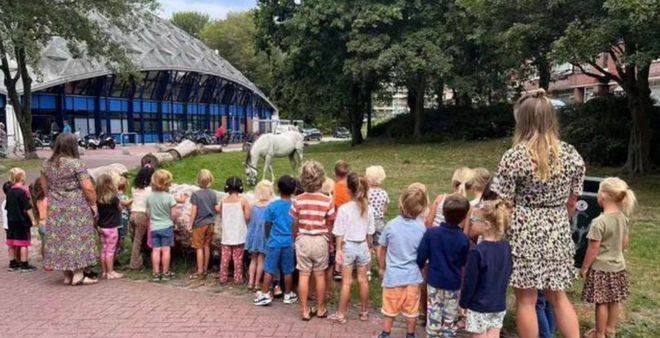  从欧洲骑马回中国 ？男子承认做假“玩大了，要道歉”