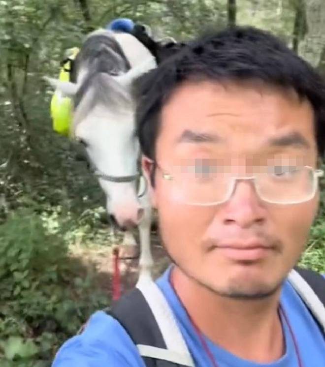  从欧洲骑马回中国 ？男子承认做假“玩大了，要道歉”
