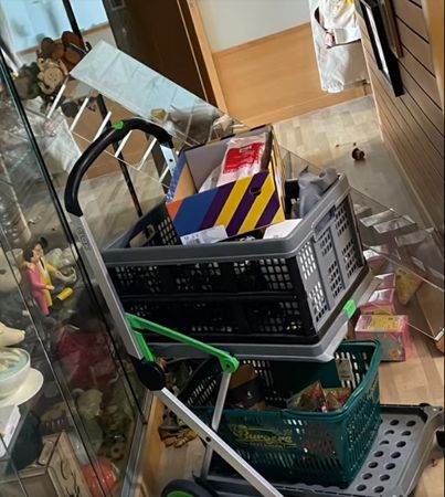 依依地震拉纳豆躲桌底 3秒后吊灯砸下超惊悚