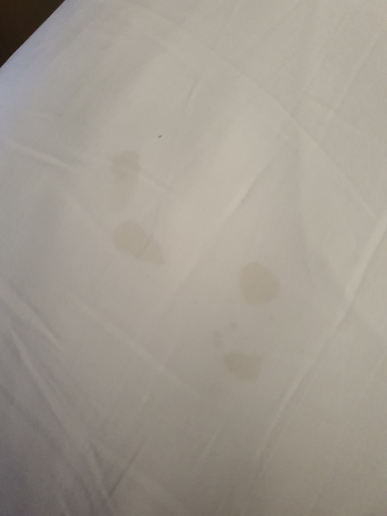 入住酒店太累没开灯就倒头大睡！母子醒来被床单血迹和精液惹怒