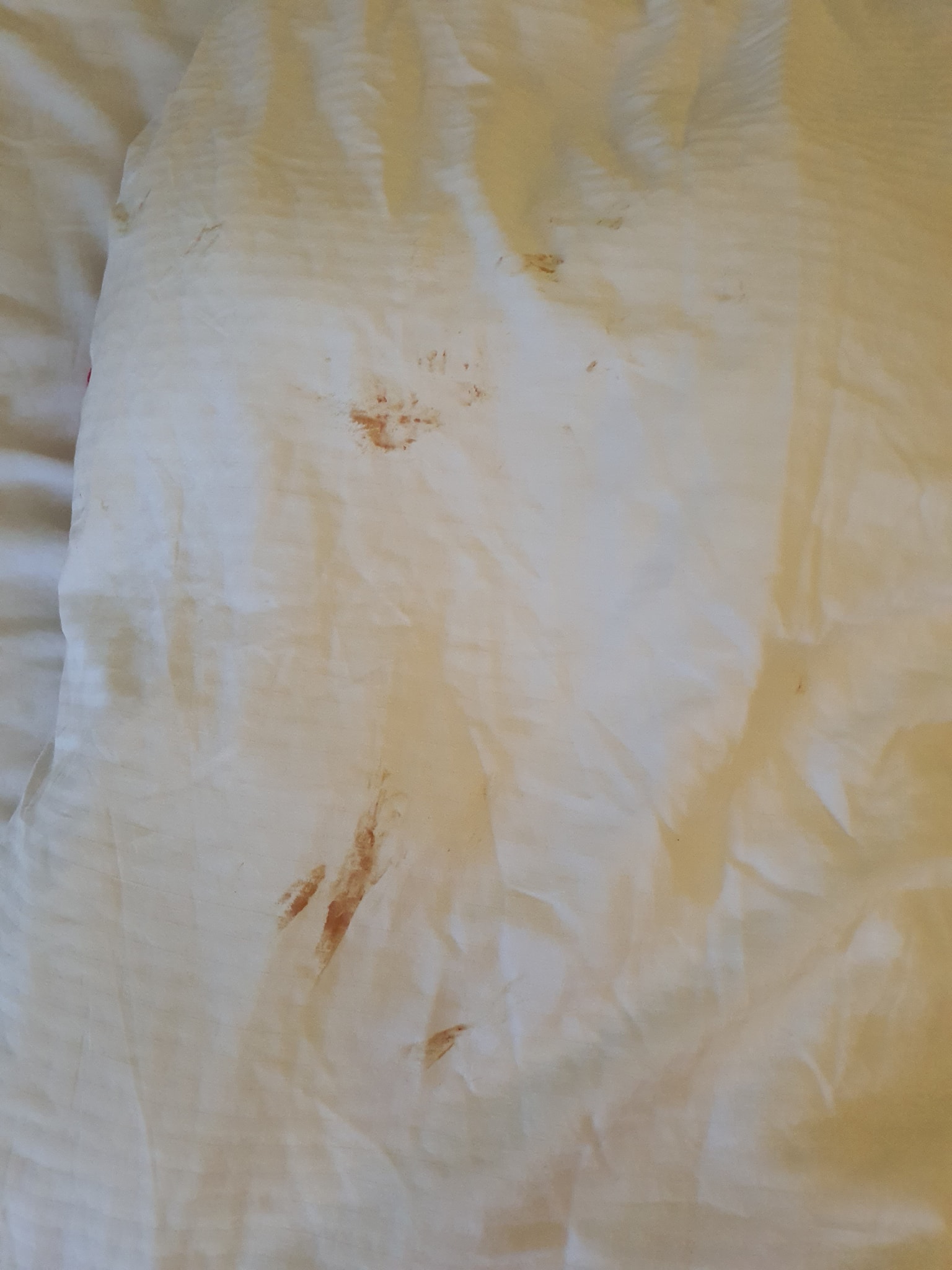 入住酒店太累没开灯就倒头大睡！母子醒来被床单血迹和精液惹怒