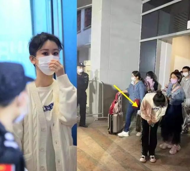 出席活动生图黑粉笑胖丑 杨紫工作室被轰效率差