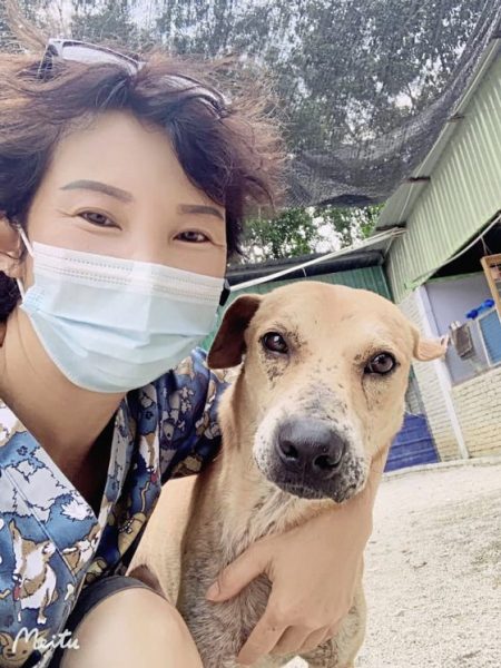 助养狗计划（三）