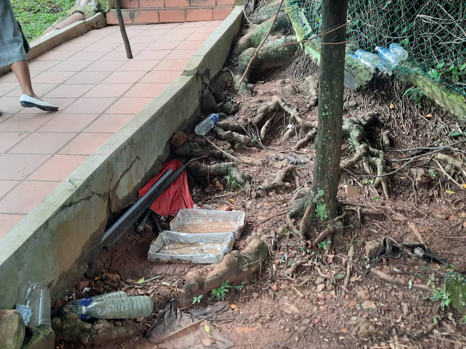 圣保罗山教堂 城墙石碑又被涂鸦