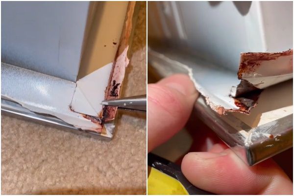 墙壁流血吓坏女子 揭开真相很科学