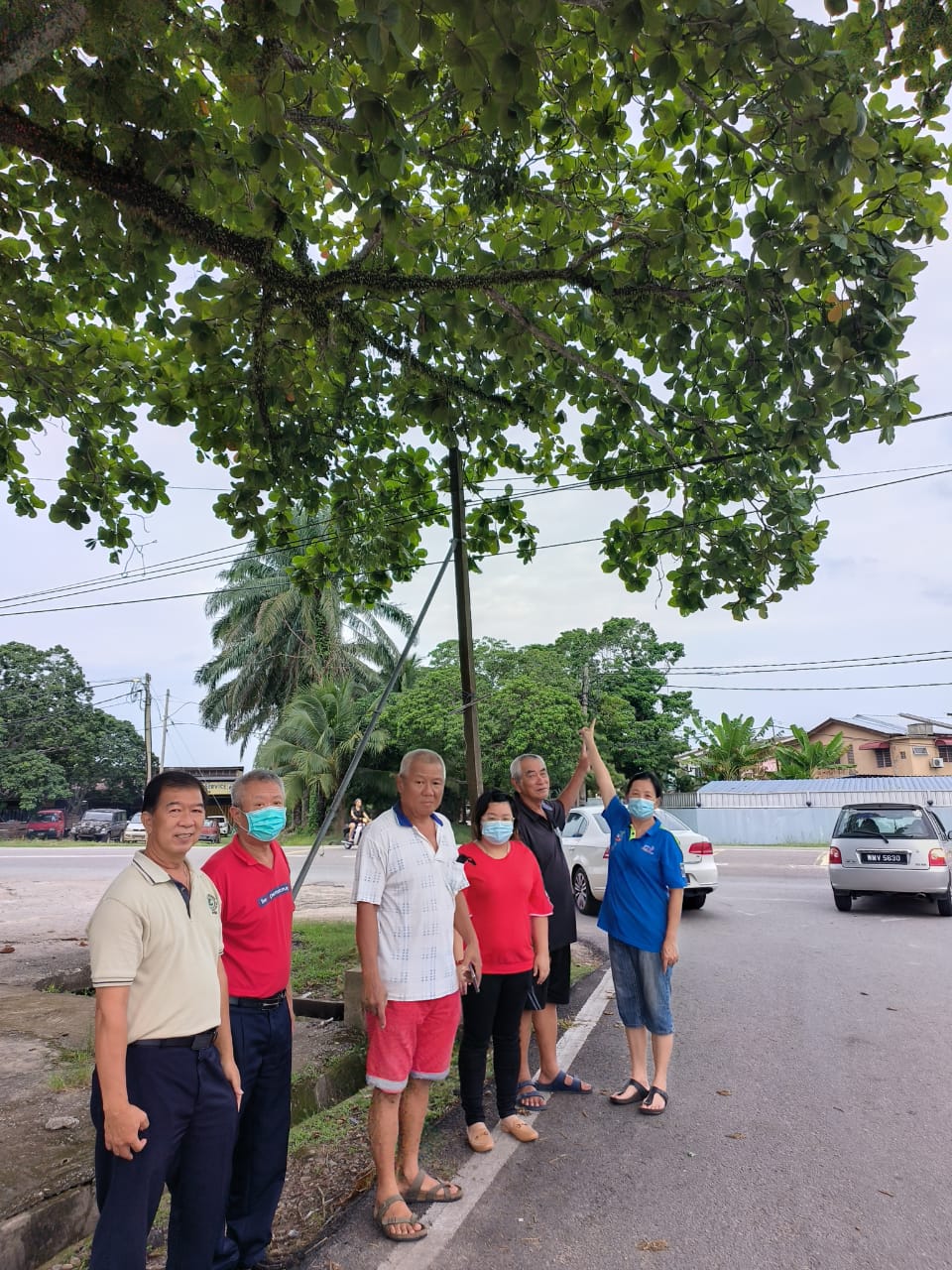 夜间昏暗影响视线 直凉和平园路口需增路灯