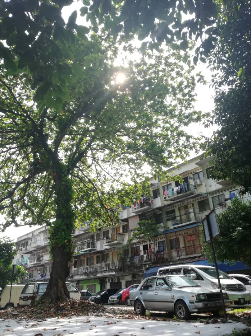 大都会-专栏:马拉妹出闸