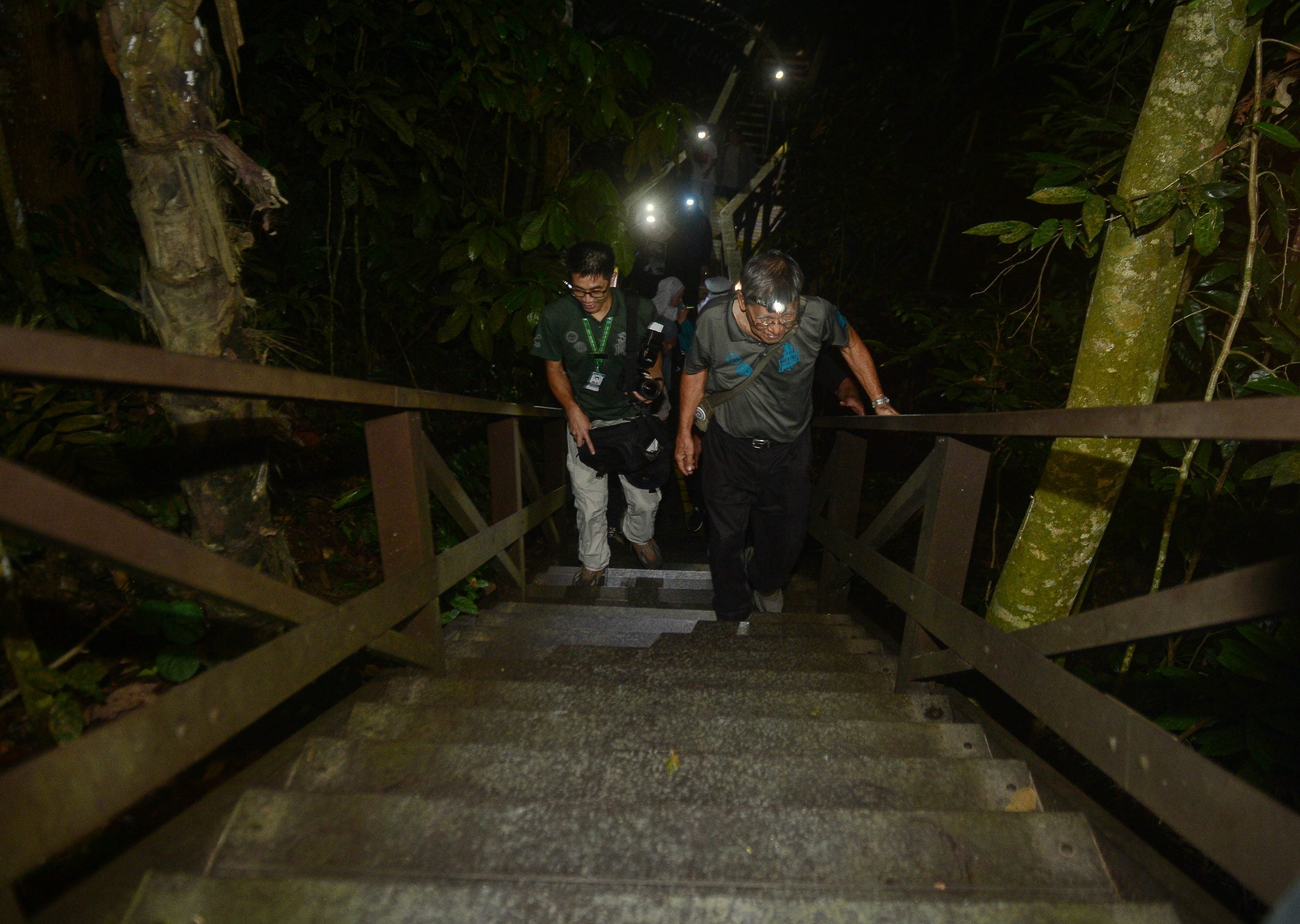 大都会-FRIM开放夜间空中森林步道体验