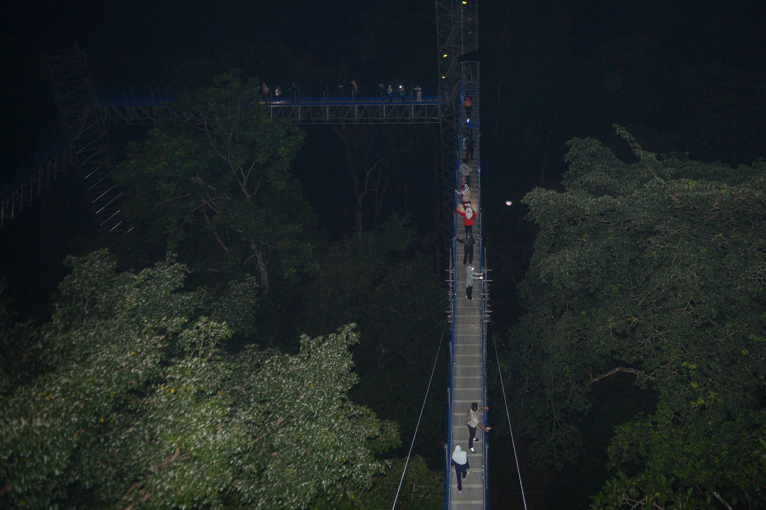 大都会-FRIM开放夜间空中森林步道体验