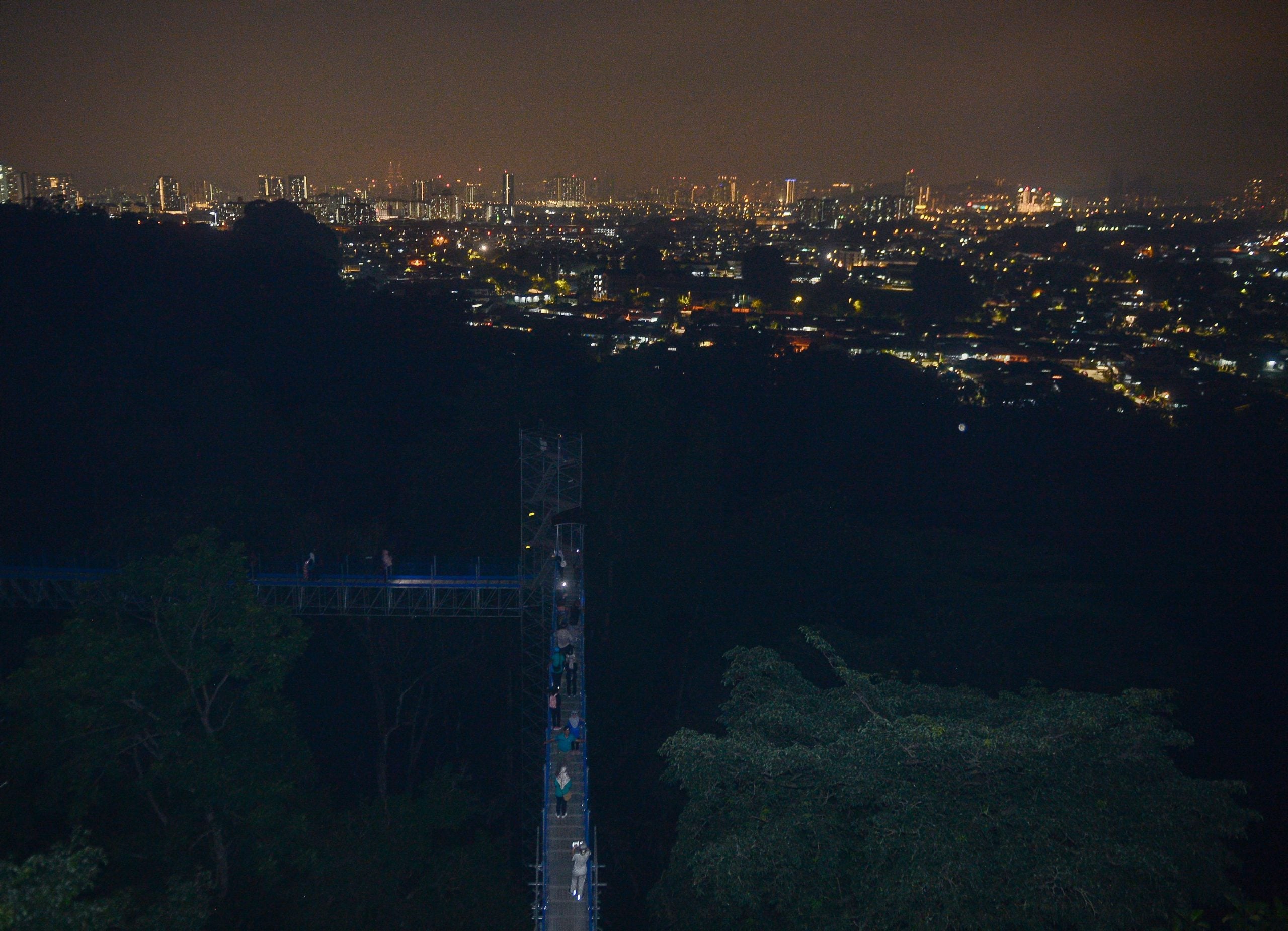 大都会-FRIM开放夜间空中森林步道体验