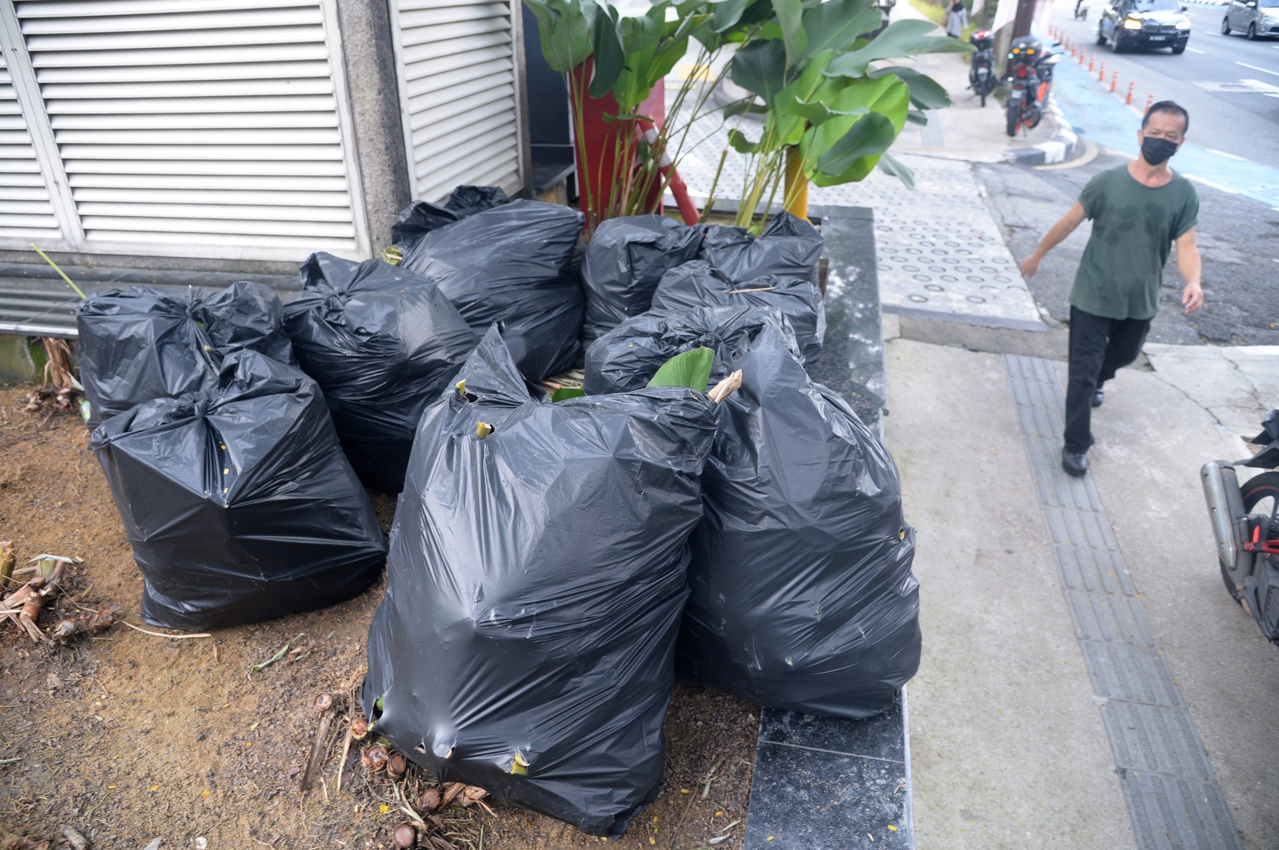 大都会/ME03头/隆市拉惹劳勿路植物被踩踏