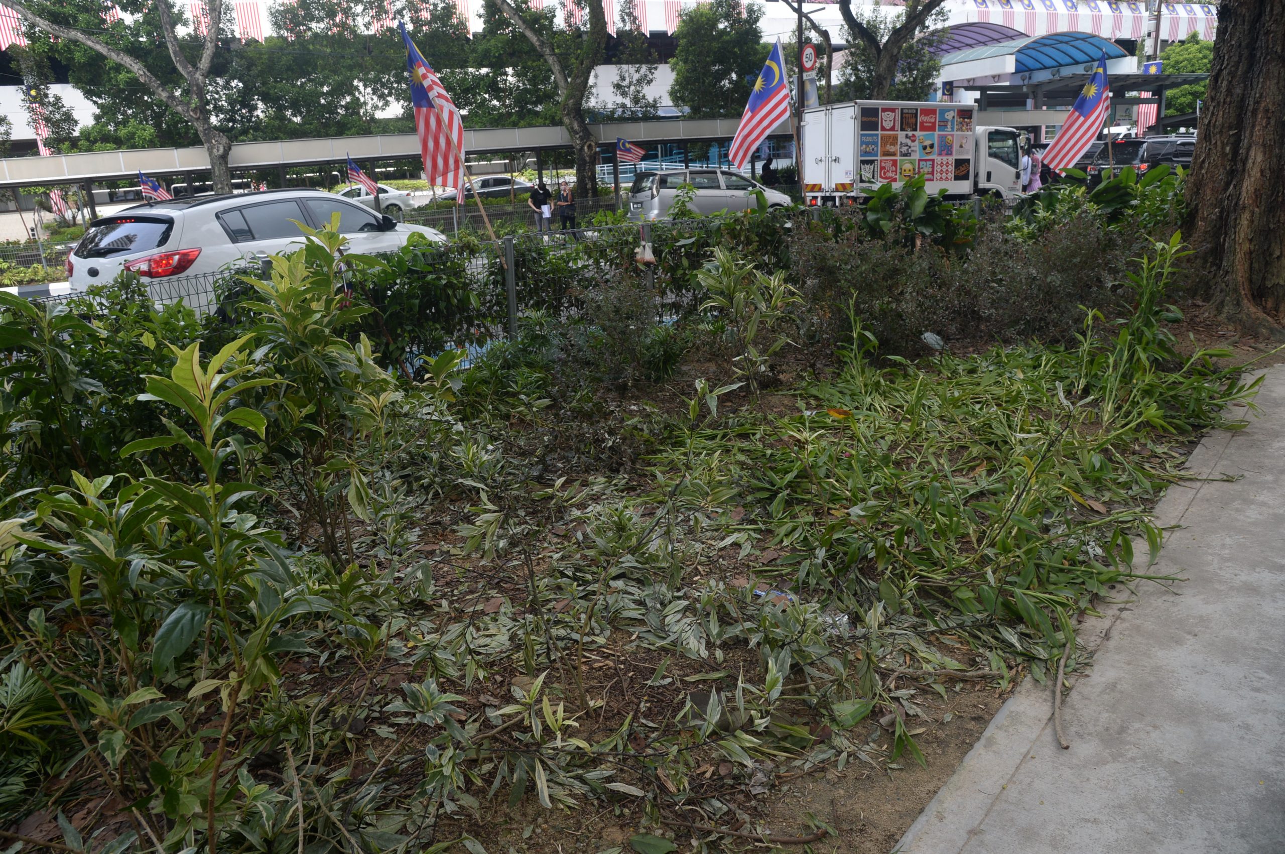 大都会/ME03头/隆市拉惹劳勿路植物被踩踏