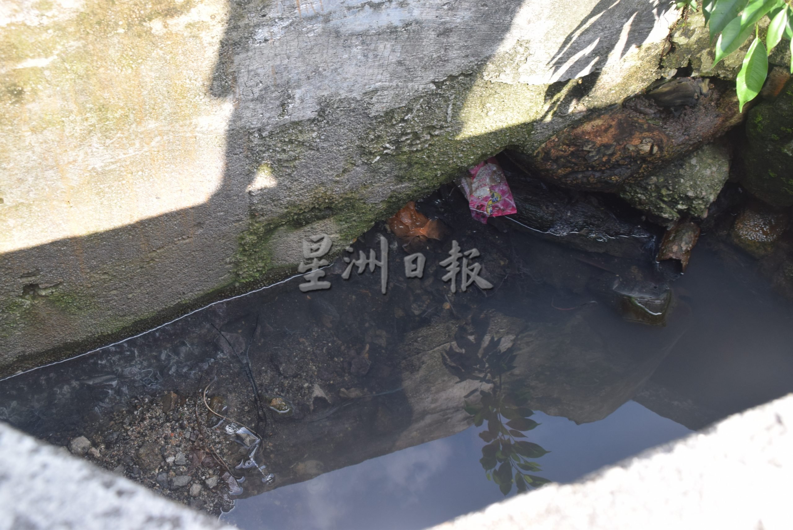 **已签发**柔:封面:【民生特工队】:逢雨必灾!新山淡路一排17间店屋长期面对水患,无法安心营业