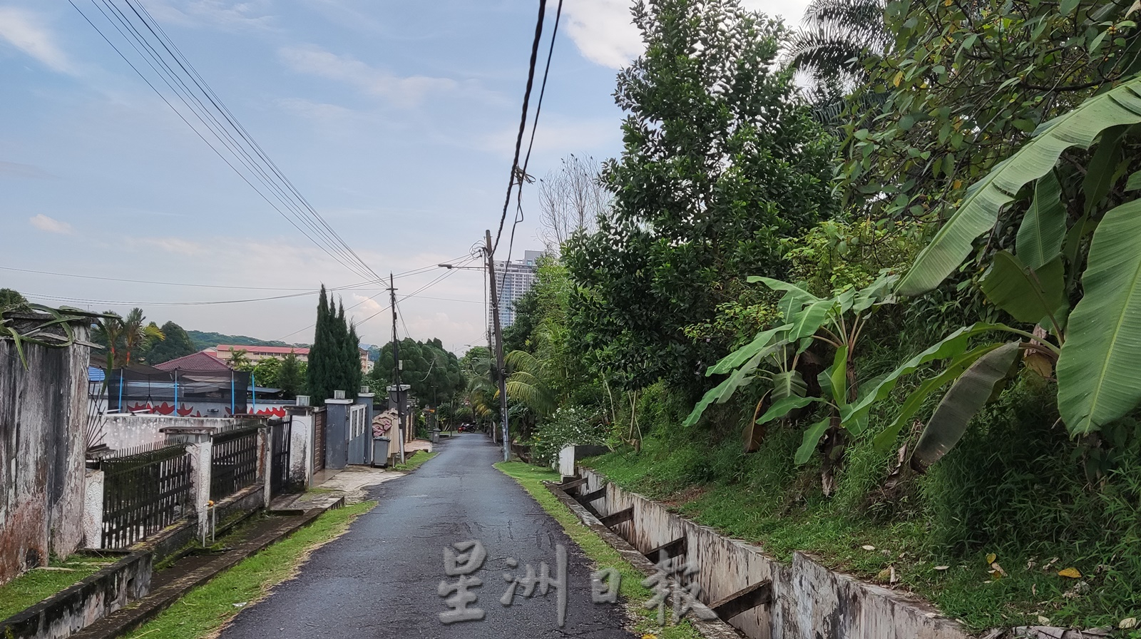 猴子闯家中觅食，居民忧孩子受伤