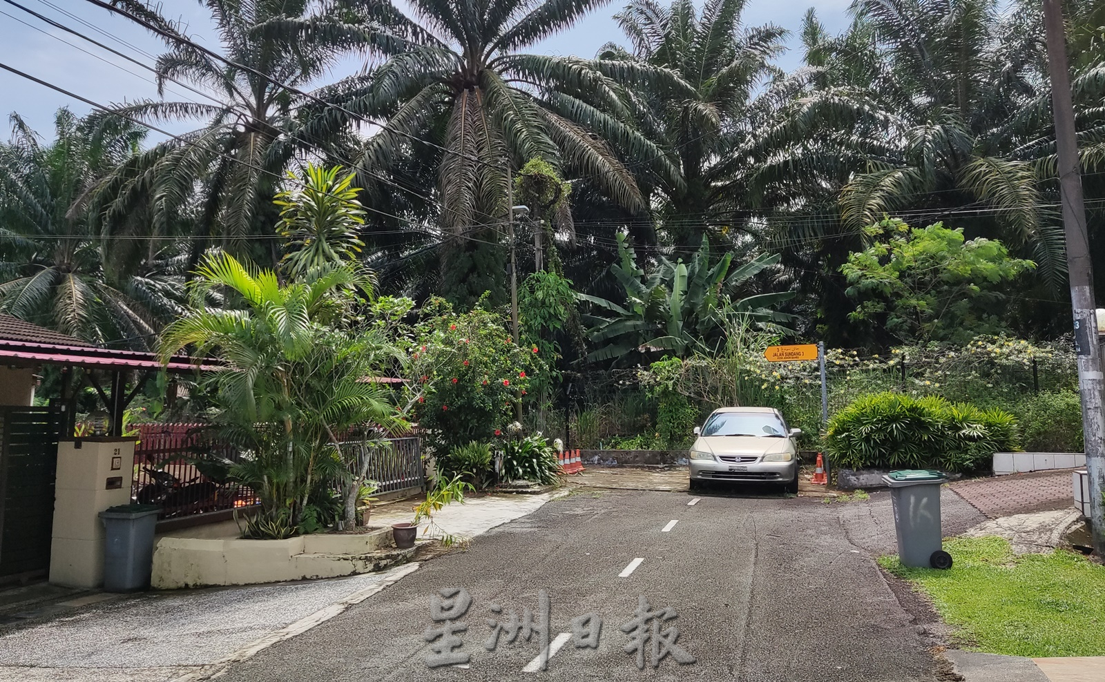 猴子闯家中觅食，居民忧孩子受伤