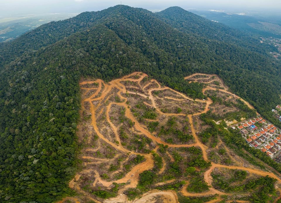 **已签发**柔:第二版头条:南峇山私人地开发案,銮市议会停工探讨复原工作