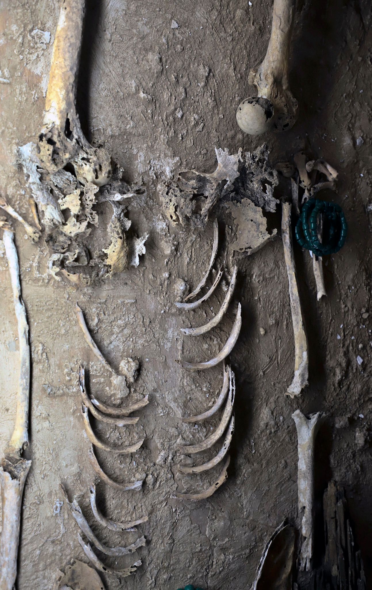 拼盘 每日一展/古代玛雅文明城市文物展