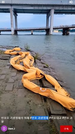 拼盘/韩汉江巨型水怪晰画面曝光! 网民分析完真相超崩溃