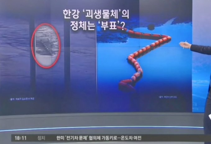 拼盘/韩汉江巨型水怪晰画面曝光! 网民分析完真相超崩溃