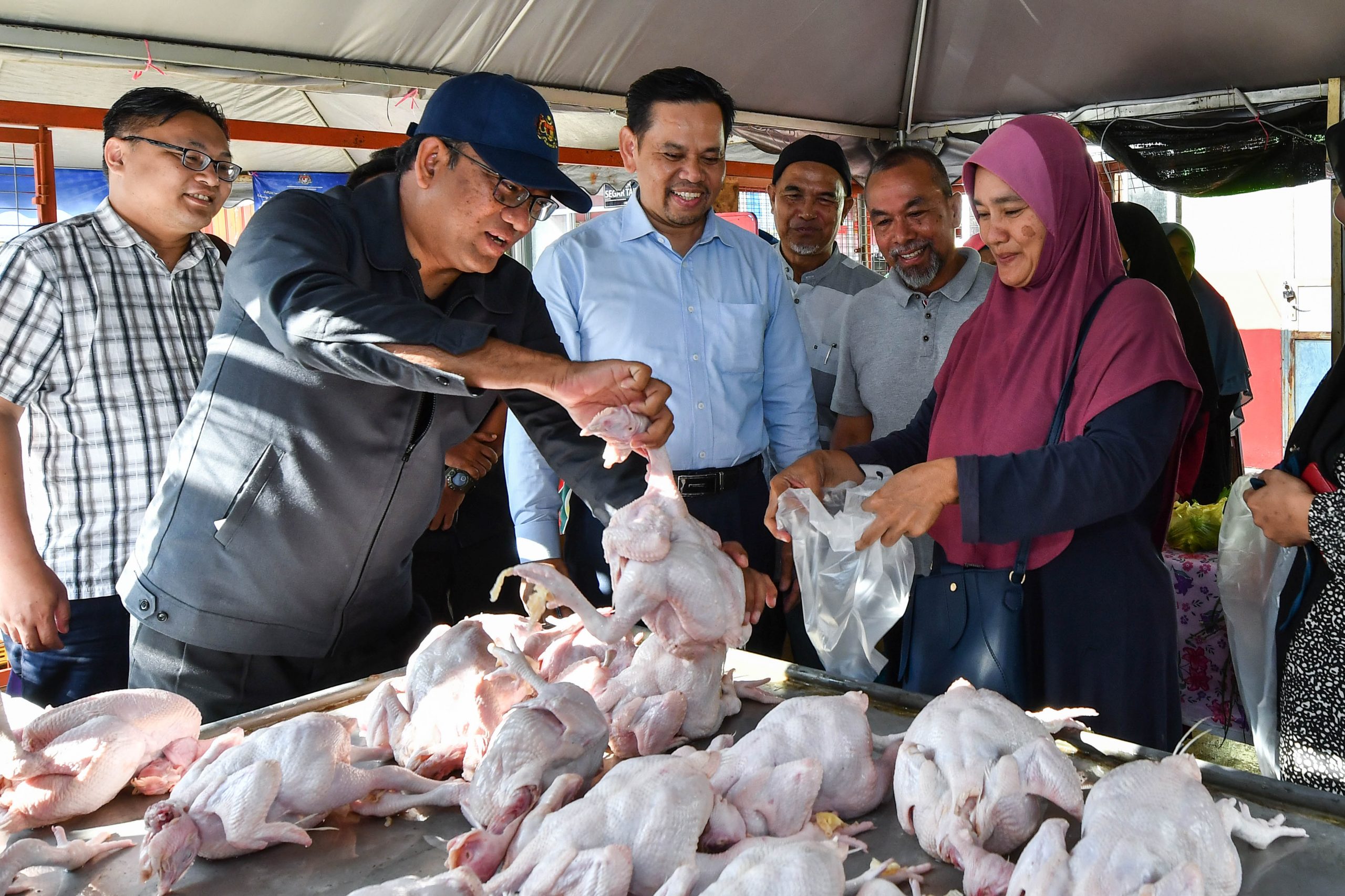 指定零售商和批发商10月可开始储粮