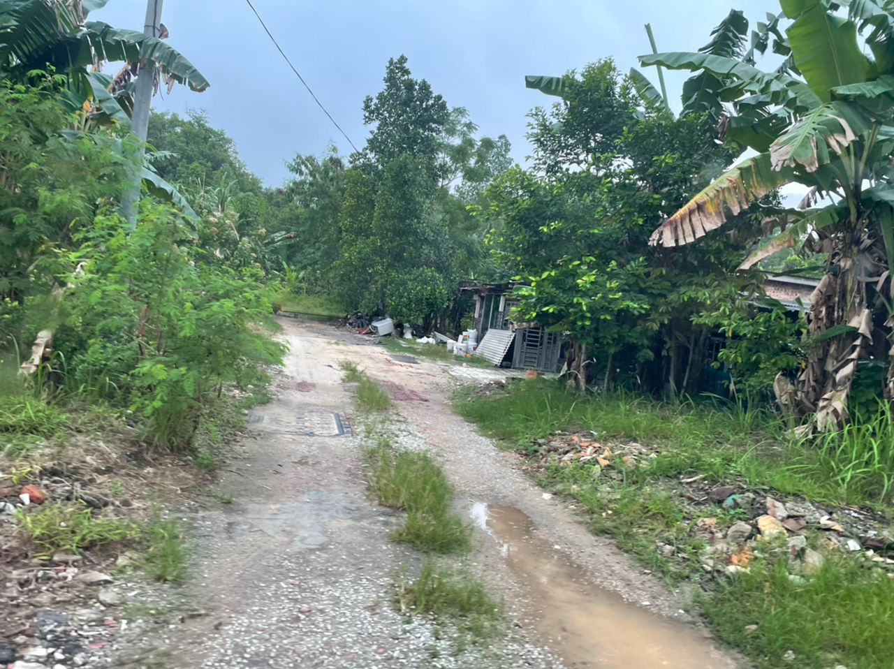 柔：文告：依城市政厅于甘榜展开清理工作