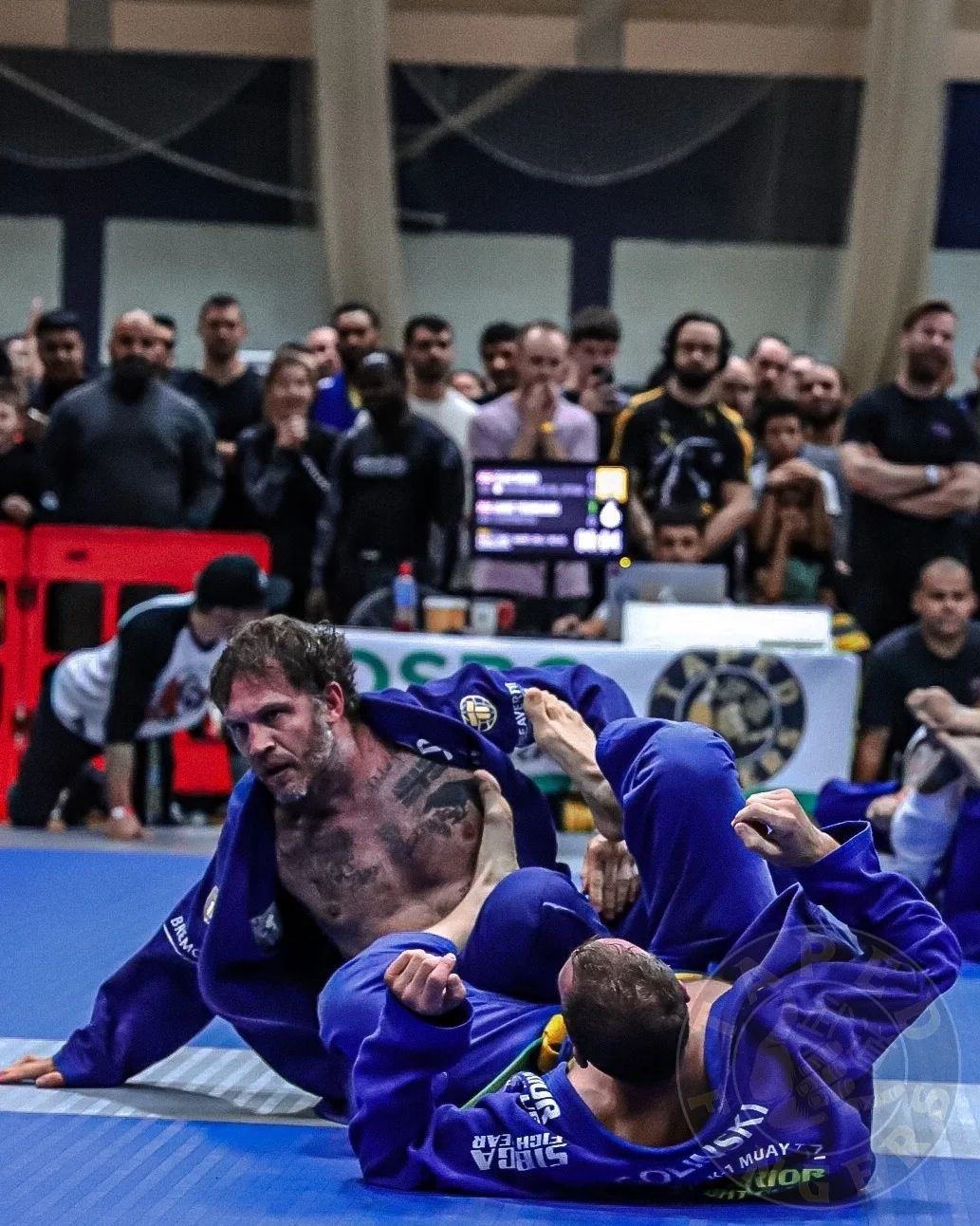 汤哈迪参战武术比赛 夺巴西柔术金牌