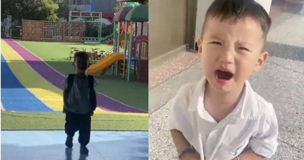爷爷是校长、姑姑是园长 3岁男童“拒上自家幼儿园”崩溃狂哭