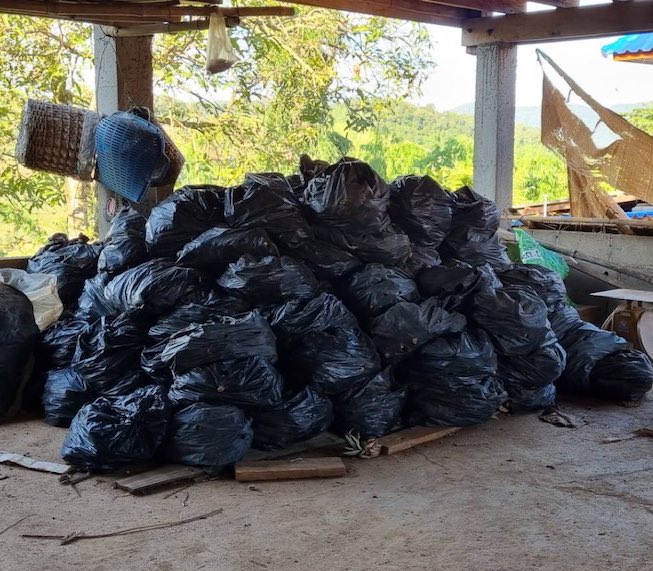 生姜每公斤12仙没人要 富豪买8万公斤助姜农清货