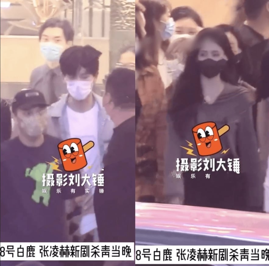 白鹿与张凌赫蜜恋实锤？ 多次去男方家过夜