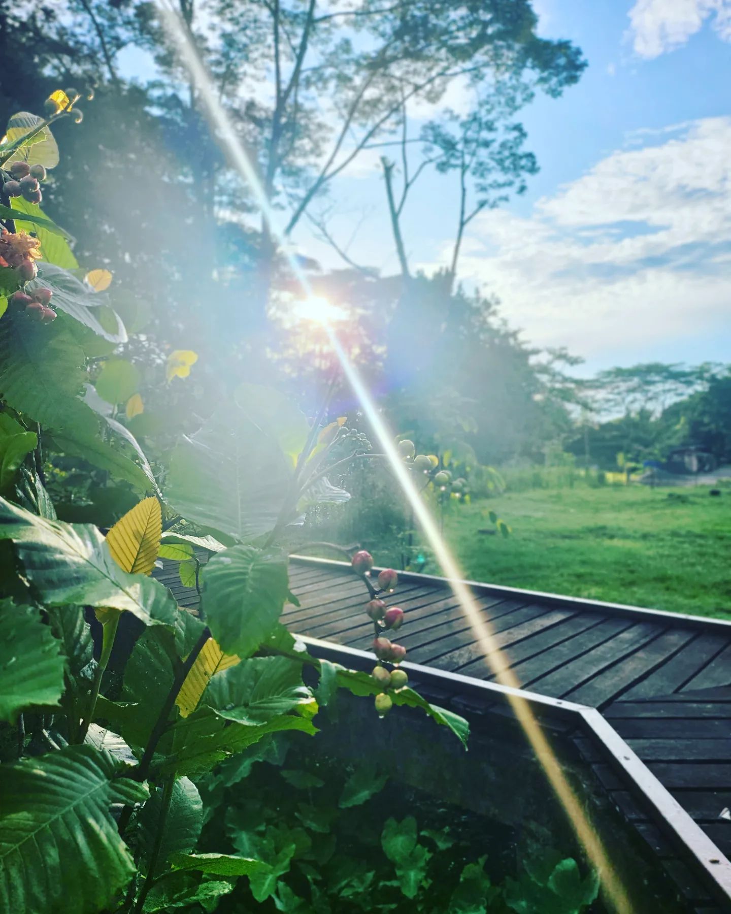 相隔3年终于回老家古晋 谢佳见“验收”爸爸送新屋？	