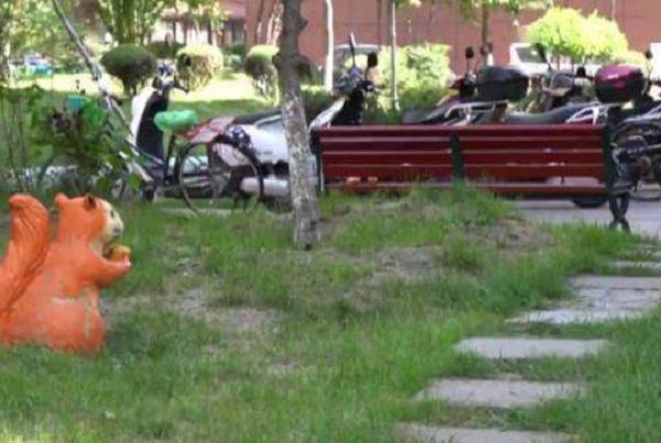 社区保全不爽狗便溺　撒毒鸡肝害死11只毛孩获刑3年