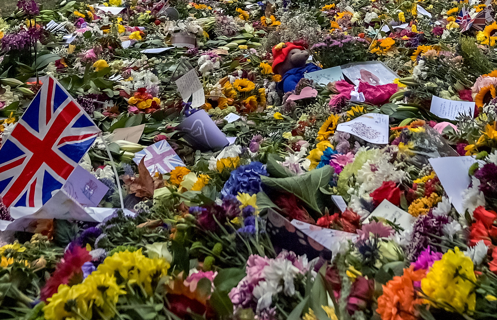 英女王辞世 土耳其康乃馨需求飙升花农急加班