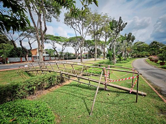 蔡羽/毕达友的竹文化