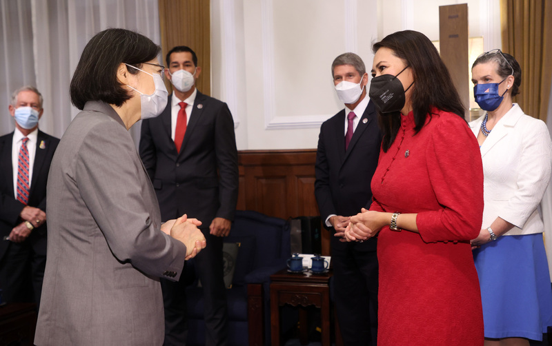 蔡英文:台湾会与民主伙伴维护区域和平稳定2