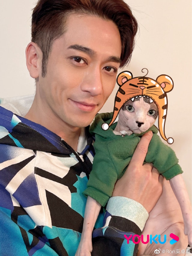 被网揭赴中国密会吴卓羲 菊梓乔避谈度假旅行地点