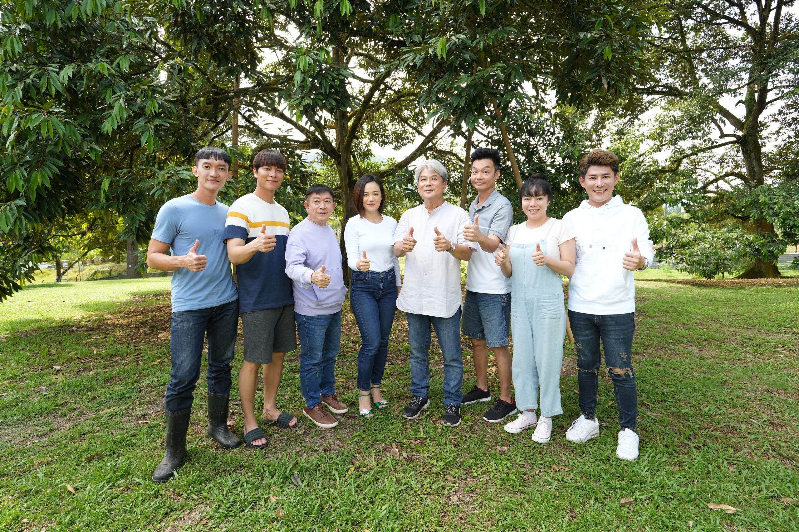 被问降价演贺岁片 杨雁雁避答装“线路不好”